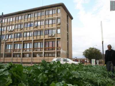 Di fronte al massiccio edificio marroncino dell�Ordine degli Ingegneri spunta questo infatti appezzamento inserito in una bassa isola spartitraffico che si allarga a forma di cono e i cui colori invadono la grigia strada